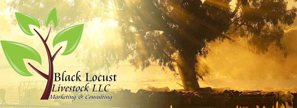 BLL Header